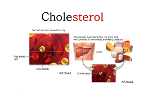 Cholesterol - KSU Faculty Member websites