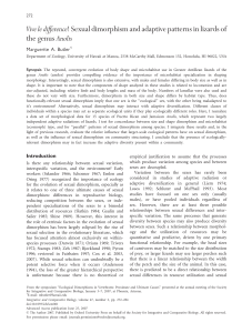 Vive le difference! Sexual dimorphism and adaptive patterns in