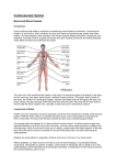 Cardiovascular System