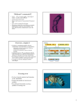 Midterm#1 comments#2 Overview- chapter 6 Crossing-over