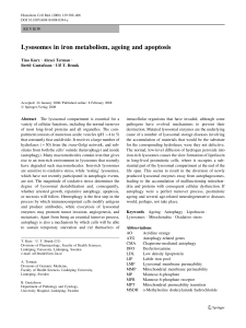 Lysosomes in iron metabolism, ageing and apoptosis
