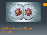 Cell cycle and Mitosis 1/7/2016