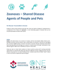 Zoonoses – Shared Disease Agents of People and Pets