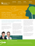 EXPLORING HOW THE BRAIN CONTROLS BREATHING