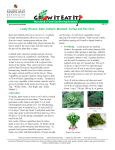 Leafy Greens - University of Maryland Extension