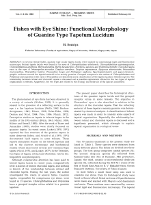 Fishes with Eye Shine: Functional Morphology of Guanine Type