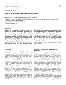 Integrin cytoplasmic domain-binding proteins