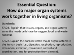 Essential Question: How do major organ systems work together in