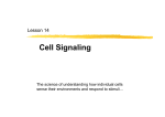 Cell Signaling