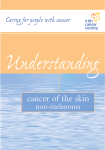Skin Non-Melanoma 2004
