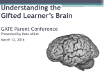Understanding the Gifted Learner`s Brain
