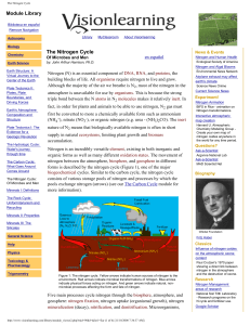 Geochemical Cycles - Participatory Science