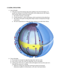 x. global circulation