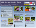 Ohio Bee Identification Guide