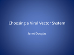 Choosing a Viral Vector System