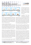 Why do cells stretch? - Mechanobiology Institute