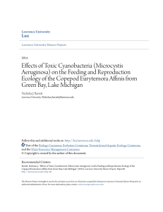 Effects of Toxic Cyanobacteria (Microcystis Aeruginosa)