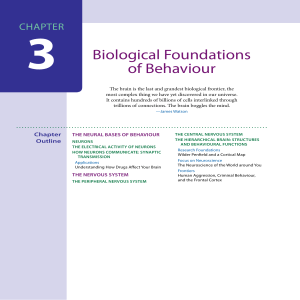 Biological Foundations of Behaviour