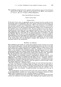 The morphology and growth of the vegetative and reproductive