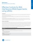 Effective Controls for RNA Interference (RNAi) Experiments using