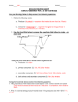 Ecology Review Sheet. KEY