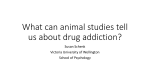 What can animal studies tell us about drug addiction?