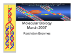Molecular Biology-restrection enzyme