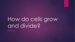 2.3 How do cells grow and divide
