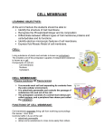 Cell Membrane