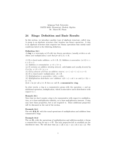 24 Rings: Definition and Basic Results