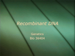 Recombinant DNA