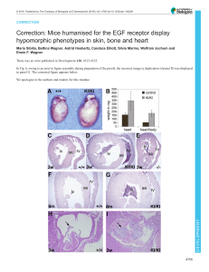 Correction: Mice humanised for the EGF receptor