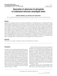 Generation of adenosine tri-phosphate in Leishmania