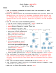 Study Guide - ANSWERS Unit 4 Part 1 Test