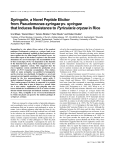 Syringolin, a Novel Peptide Elicitor from Pseudomonas syringae pv