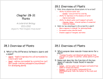 Chapter 28-31 Plants 28.1 Overview of Plants 28.1 Overview of