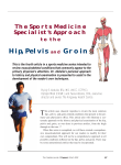 Hip, Pelvis and Groin - STA HealthCare Communications
