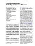 Structure and Mechanism of Imidazoleglycerol-Phosphate