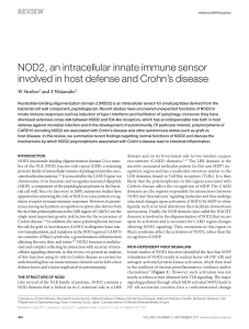 NOD2, an intracellular innate immune sensor involved in