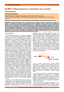 NLRP3 inflammasome activation by crystal structures