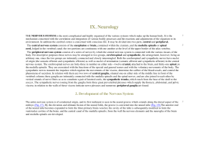 Chapter IX - Neurology, Section 4