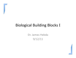Biological Building Blocks I