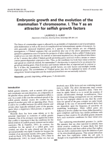 Embryonic growth and the evolution of the mammalian Y