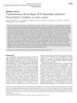 mesenchymal transition in colon cancer