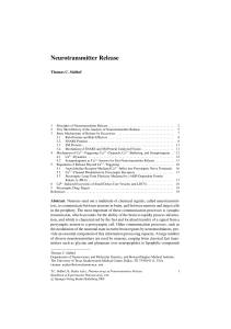 Neurotransmitter Release