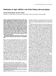 Distribution of Agrin mRNAs in the Chick Embryo Nervous System