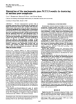 Disruption of the nucleoporin gene NUP133 results in clustering of