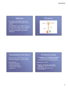 Lecture 2 - Nerve Impulse