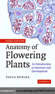 Anatomy of Flowering Plants: An Introduction to Structure and