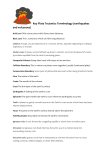 Key Plate Tectonics Terminology (earthquakes and volcanoes)